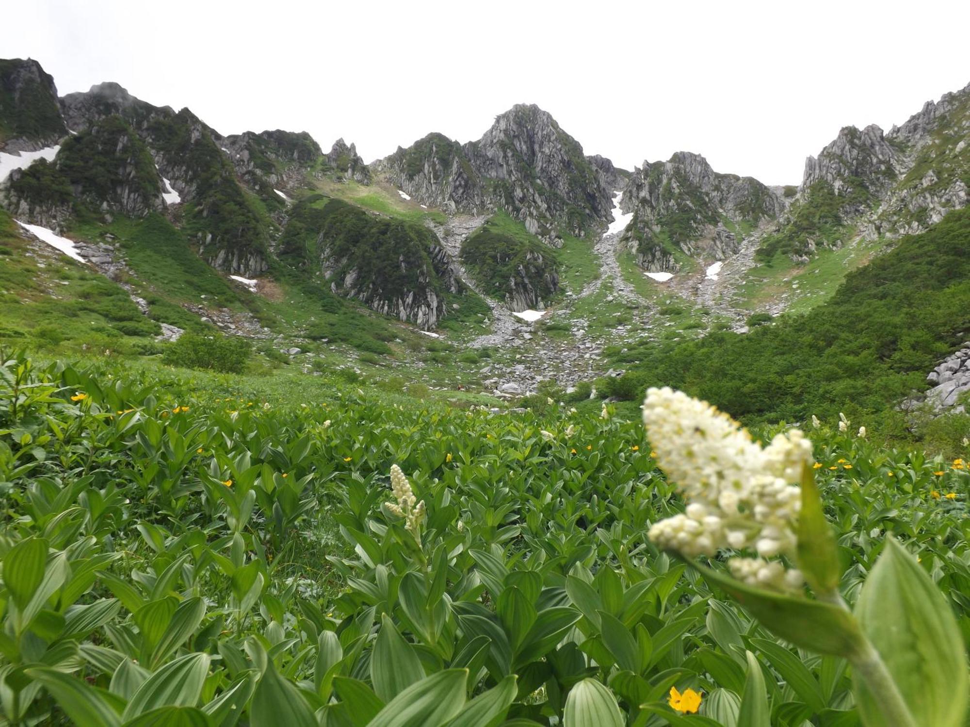 Komagane Kogen Resort Linx Eksteriør bilde